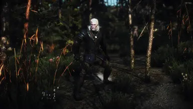 WIEDZMIN VOL.3 - Semi Lore-Friendly Retextures at The Witcher 3 Nexus ...