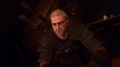 Witcher 2 Styled Geralt