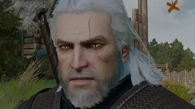 2013 head+ANTR skin