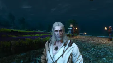 One face reboot mesh, Witcher 2 Styled Geralt (Paler), Netflix Season 2 Hairstyle whiter, Weathered face