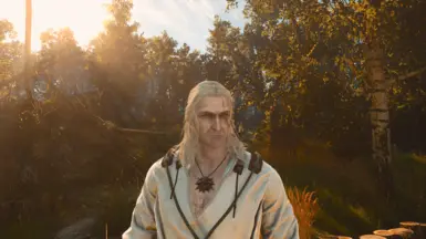 One reboot mesh and Witcher 2 Styled Geralt (Paler), Netflix Season 2 Hairstyle whiter, Weathered face