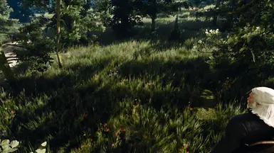 Very beautiful grass!