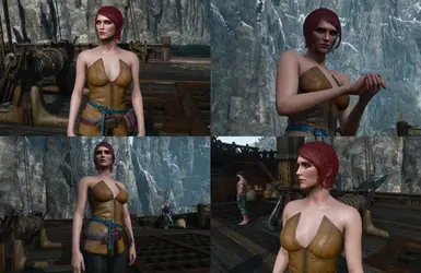 (A Variant) New alternative version of the mod that maintains the vanilla look and colors.