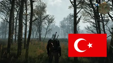 Immersive Cam Next Gen - Turkish Translation