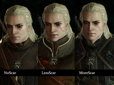 Geralt Face Retexture (Face from The Witcher 3) at The Witcher Nexus - mods  and community