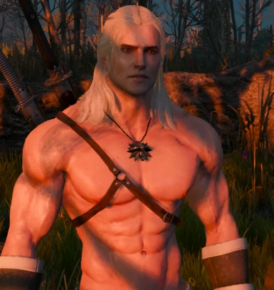 With the Geralt mod on steroids v5 experimental