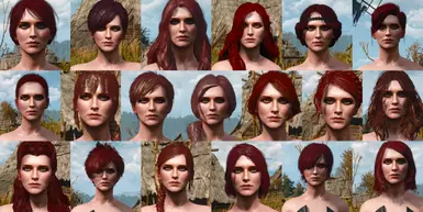 Haircuts Banner
