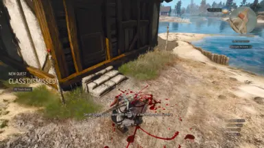 Initial Investigation