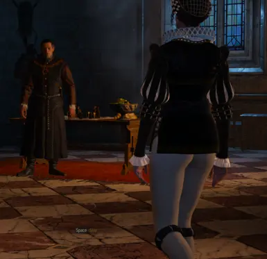 courtier outfit, wyzima
