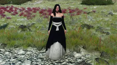 1.1 gown