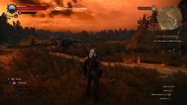 the witcher 3 multiplayer mod