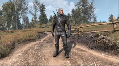 Lore Friendly Netflix Season 1 Armor at The Witcher 3 Nexus - Mods and ...