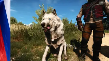 E3 Wolf Follower_RU