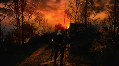 Darker Nights at The Witcher 3 Nexus - Mods and community