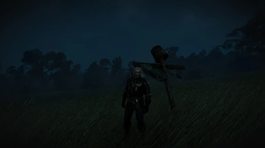 Night in the fields