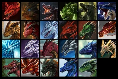 Dragons New