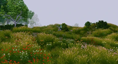 Elven Region, even more flowers