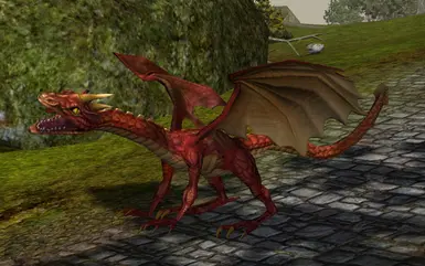 dragon medium